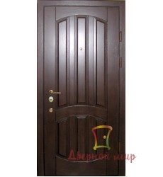 Вхідні двері NR-49