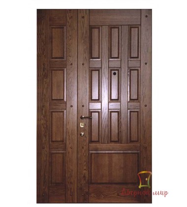 Вхідні двері NR-21, фото 1